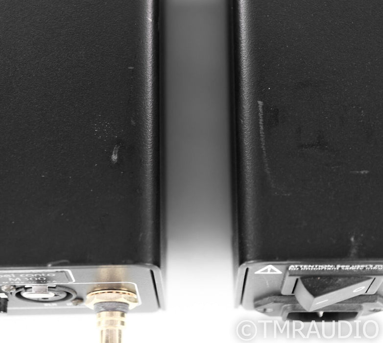 Bel Canto M300 Mono Power Amplifier