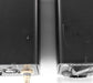 Bel Canto M300 Mono Power Amplifier