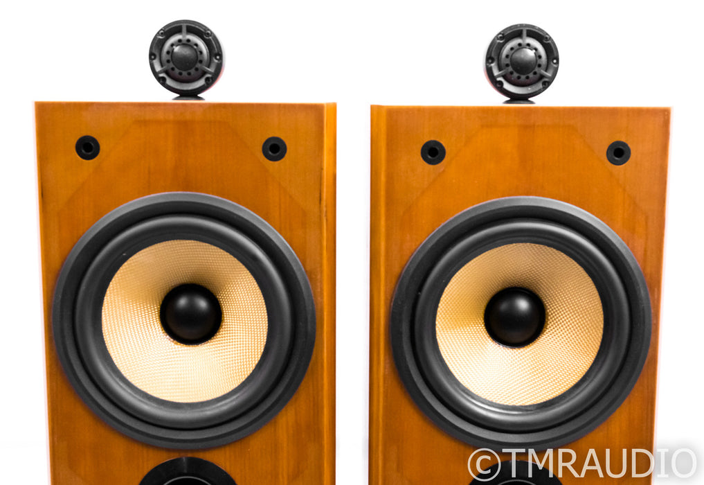 B&W P6 Floorstanding Speakers
