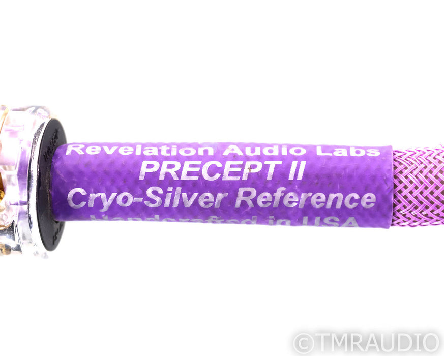 Revelation Audio Labs Precept II CryoSilver Reference Power Cable; 1m AC Cord