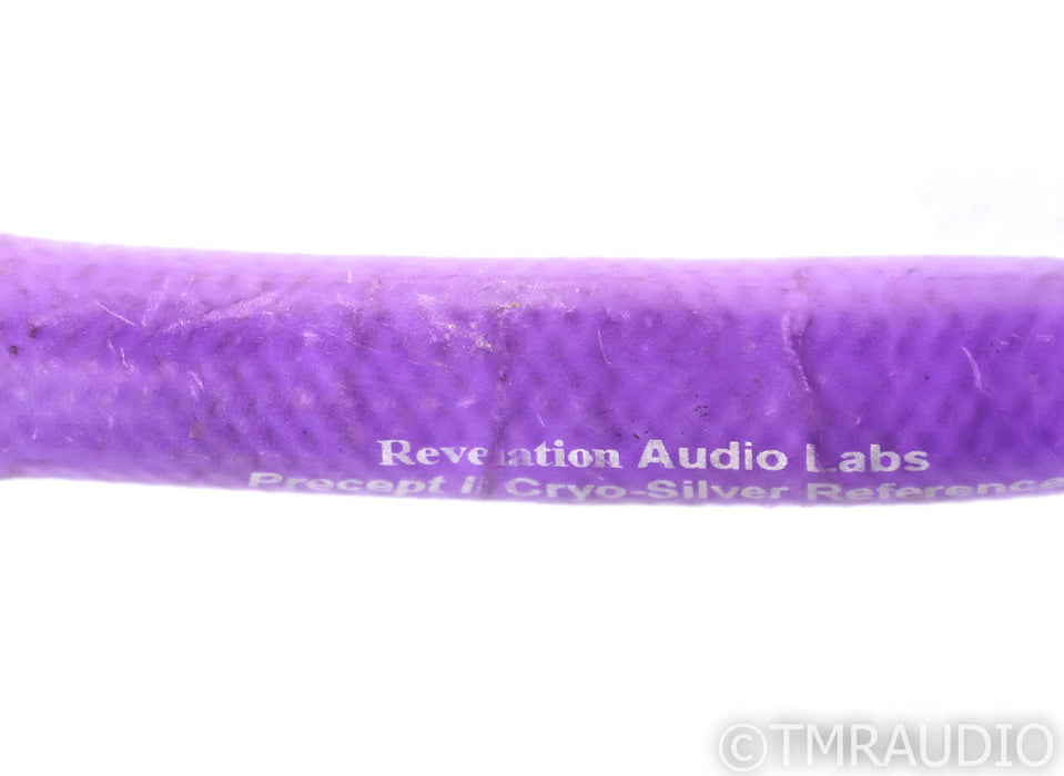 Revelation Audio Labs Precept II CryoSilver Reference Power Cable; 4ft AC Cord