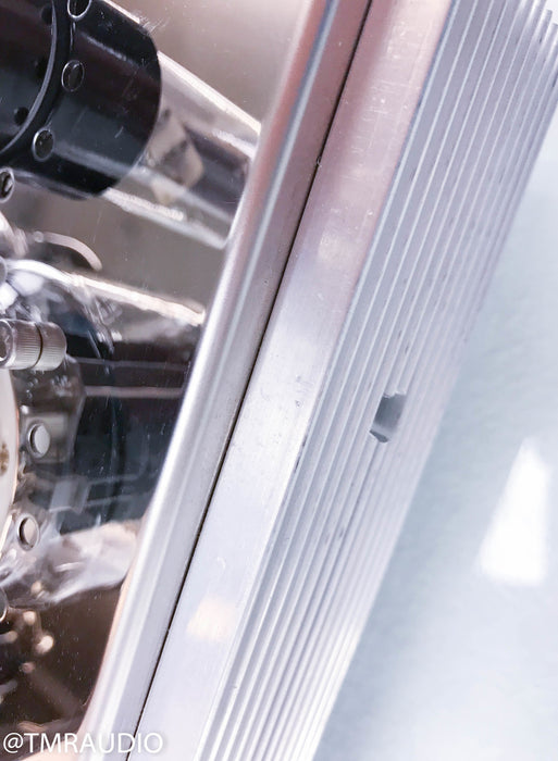 Audio Mirror 45 Watt Parallel SET Tube Mono Power Amplifier