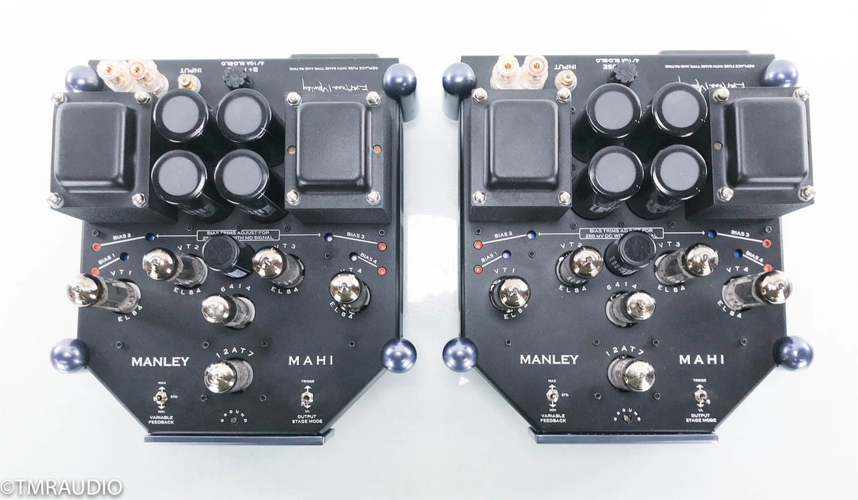 Manley Laboratories Mahi Mono Tube Power Amplifier