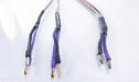 Analysis Plus Silver Oval Bi-Wire Speaker Cables