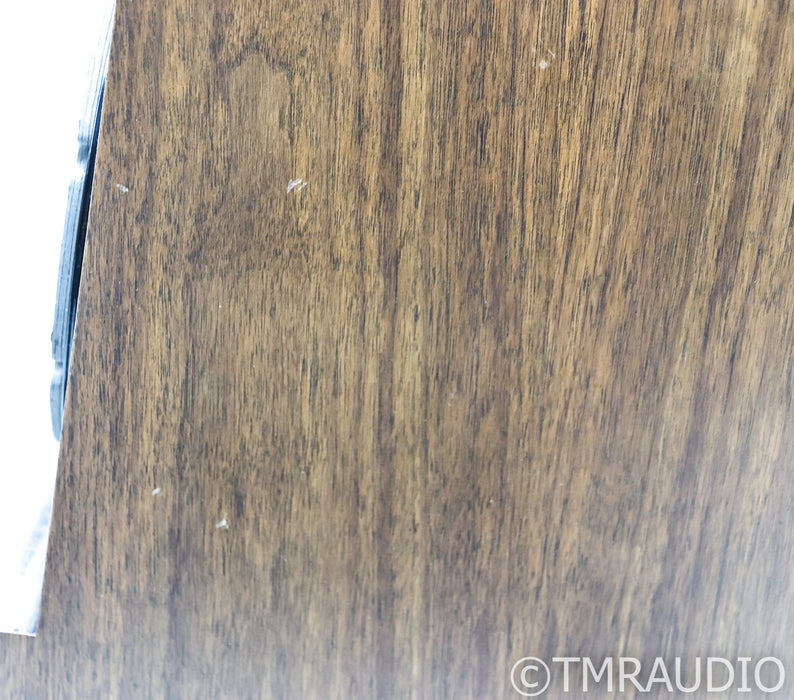 Vandersteen Treo Floorstanding Speakers