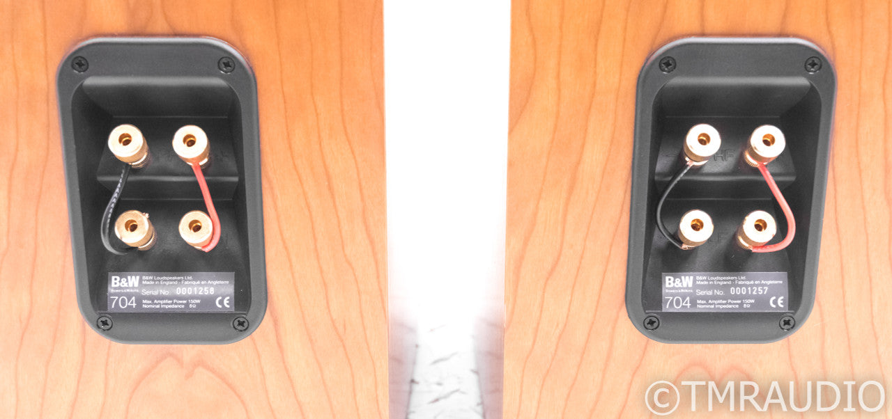 B&W 704 Floorstanding Speakers