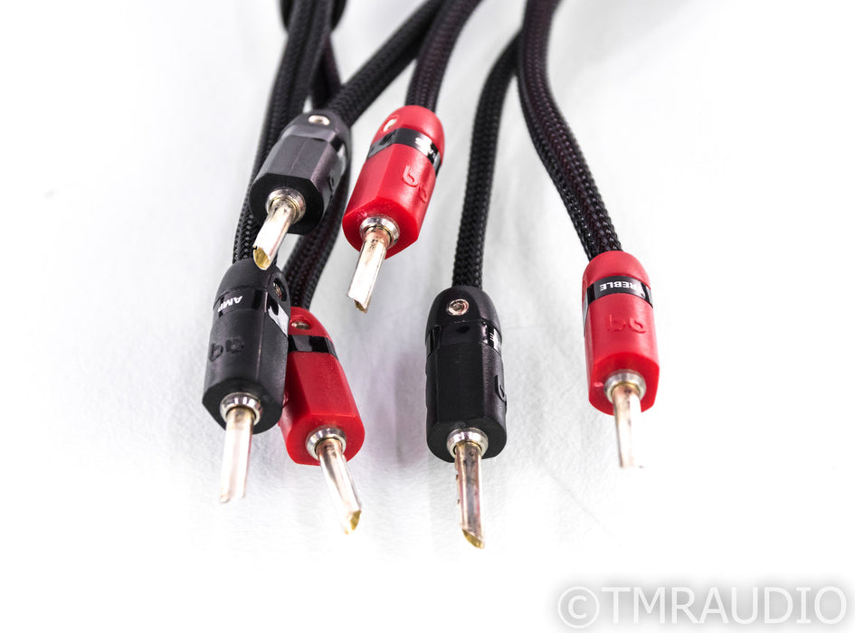 AudioQuest Gibraltar Bi-Wire Speaker Cable; 8ft Pair; 72v DBS
