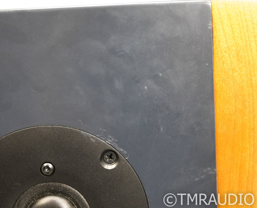 JansZen Audio Valentina A8 Active Floorstandi