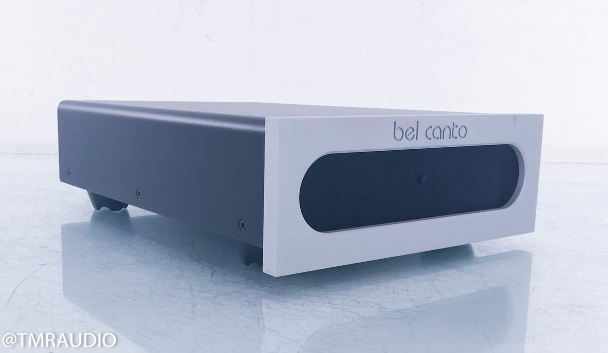 Bel Canto e.One M300 Mono Power Amplifier