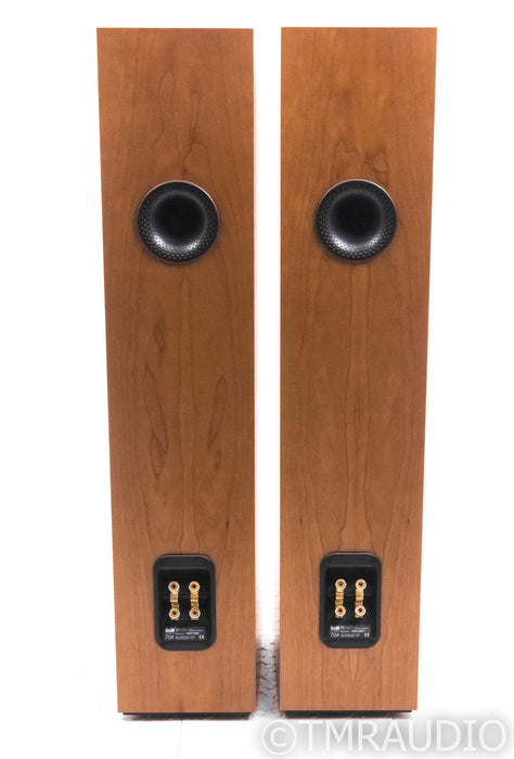 B&W 704 Floorstanding Speakers