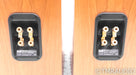 B&W 704 Floorstanding Speakers