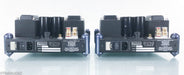 Manley Laboratories Mahi Mono Tube Power Amplifier