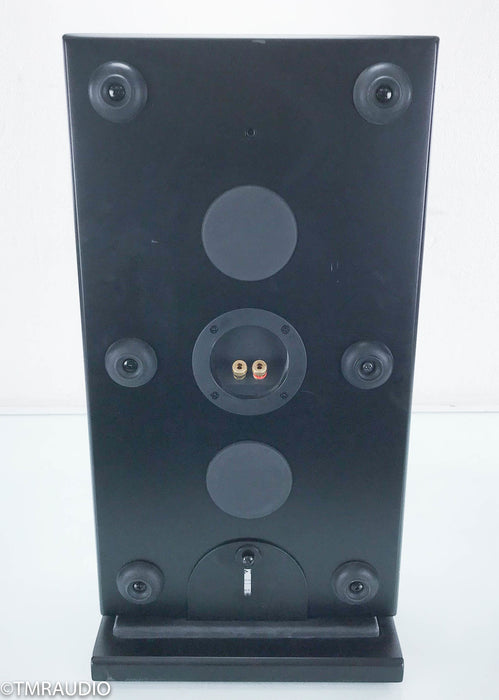 Totem Tribe/Sub Passive Subwoofer