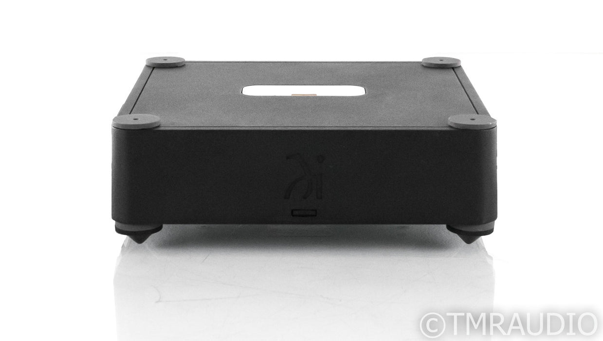 Wadia 171i Transport iPod Dock
