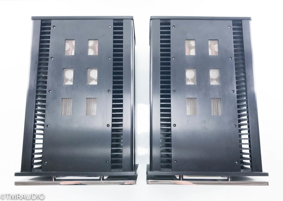 Oasis Statement S-200M Mono Power Amplifier