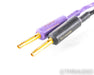 XLO UltraPlus U6 Speaker Cables; 10ft Pair; U-6