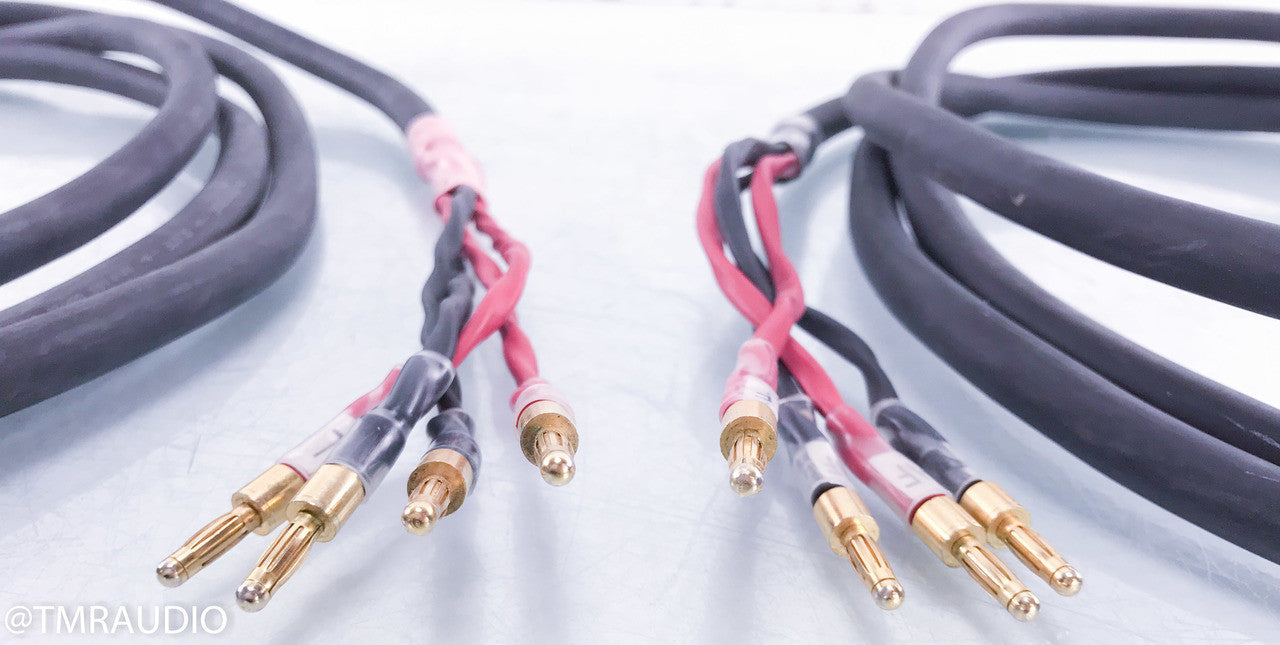 AudioQuest Slate Bi-Wire Speaker Cables