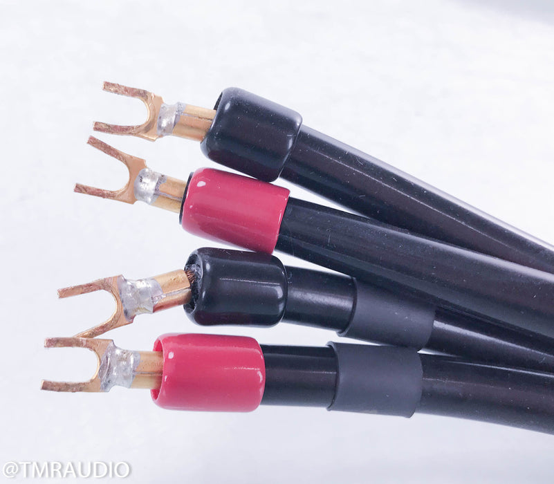 Transparent Audio MusicWave Plus Biwire Speaker Cables