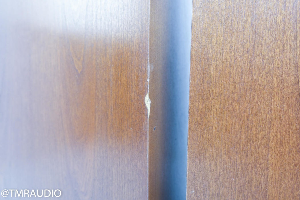 Thiel CS22 Floorstanding Speakers