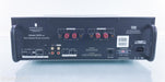 Paasound Model 2250 v.2 Stereo Power Amplifier