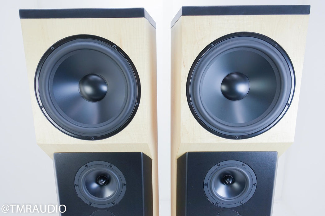 Tyler Acoustics D12X Studio Mastering Monitors / Speakers