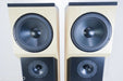 Tyler Acoustics D12X Studio Mastering Monitors / Speakers