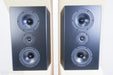 Tyler Acoustics D12X Studio Mastering Monitors / Speakers