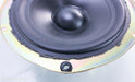 KEF Reference Model Three-Two Midwoofer Driver