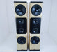Tyler Acoustics D12X Studio Mastering Monitors / Speakers