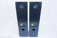 Snell Acoustics Type E-IV Floorstanding Speakers