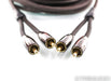 AudioQuest Big Sur RCA Cables; 5m Pair Interconnects