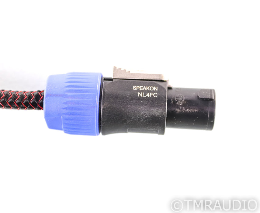 AudioQuest Rocket 33 REL Speakon Cable; 10ft High Level Subwoofer Interconnect
