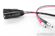 Cardas HeadRoom Fat Pipe Dual Balanced Headphone Cable; 10ft; HD800