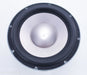 Infinity Intermezzo C.M.M.D. 12" Woofer