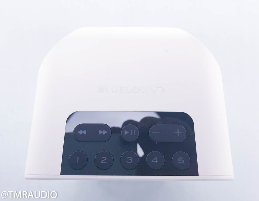 Bluesound Pulse Flex Wireless Speaker