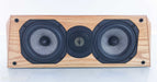 Legacy Audio Cinema HD Center Channel Speaker