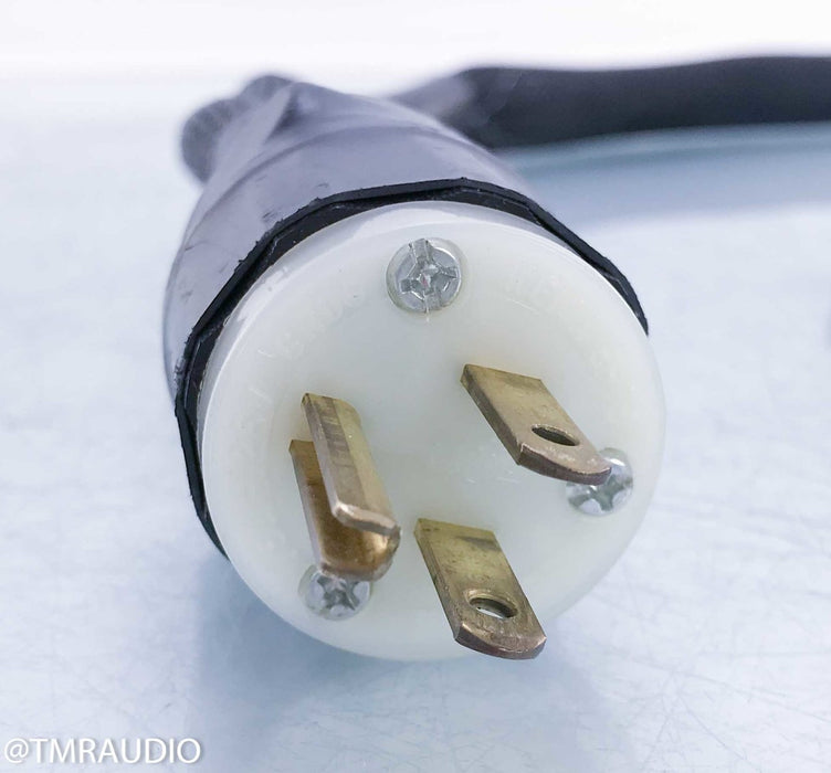 Synergistic Research A/C Master Coupler Power Cable