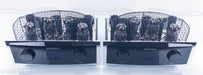 Einstein The Final Cut MK60 Mono OTL Tube Power Amplifier