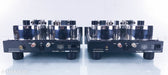 Einstein The Final Cut MK60 Mono OTL Tube Power Amplifier