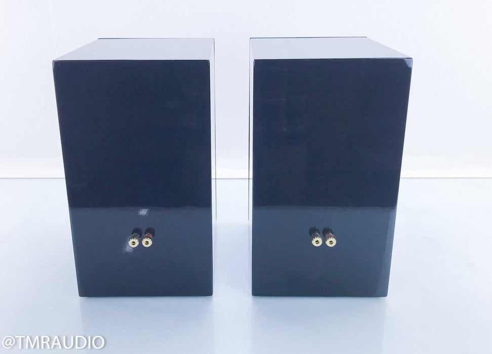 Sjfn HiFi (The Clue) Bookshelf Speakers