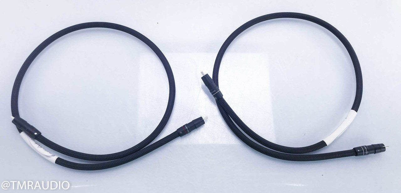 Audio Art Cable Statement e RCA Cables