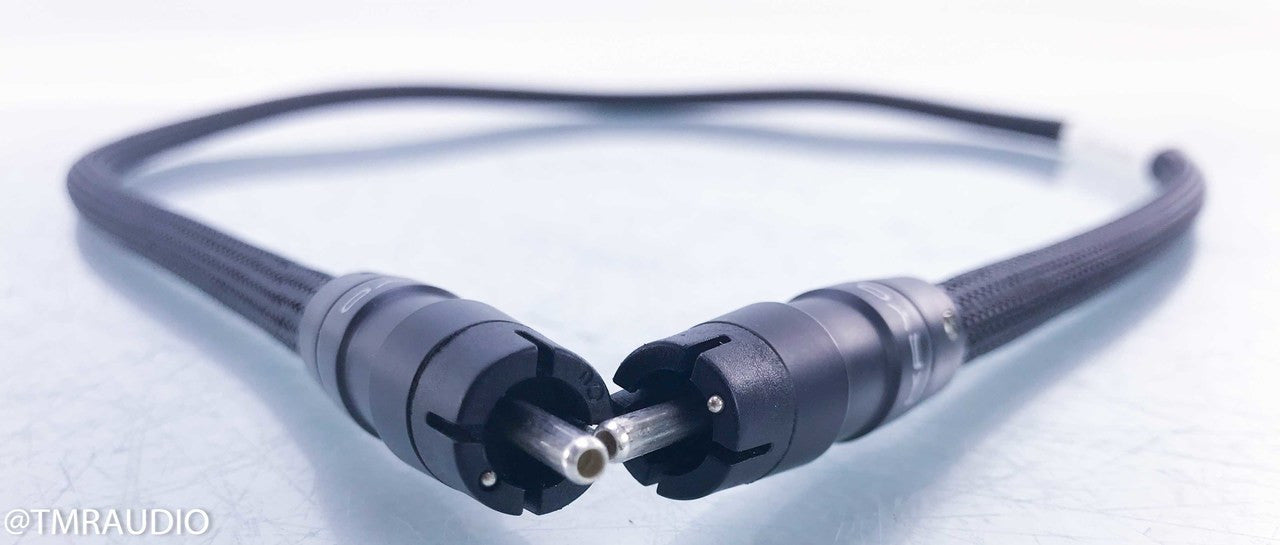 Audio Art Cable Statement e RCA Cables