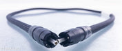 Audio Art Cable Statement e RCA Cables
