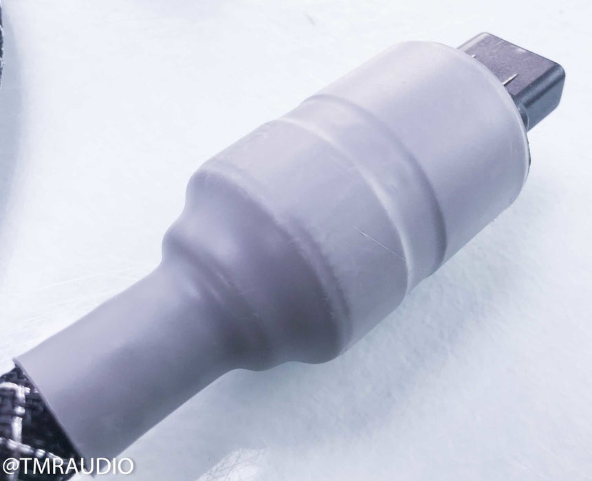 Acoustic Zen Tsunami III Power Cable