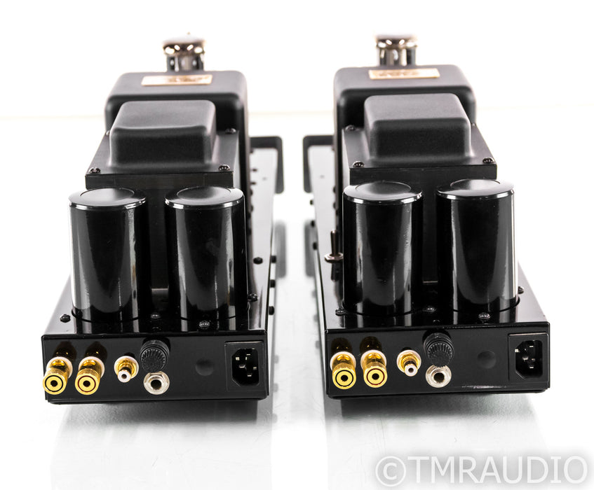 Cary Audio CAD-300 SE Signature Tube Mono Power Amplifier