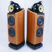 B&W 802D Floorstanding Speakers