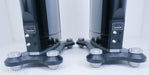 Raidho C4.1 Floorstanding Speakers