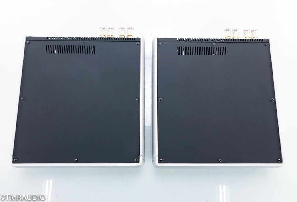 Audio Alchemy DPA-1M Monoblock Amplifier