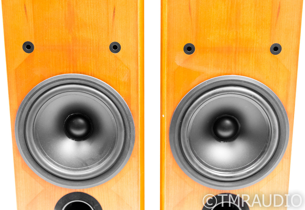 B&W P6 Floorstanding Speakers