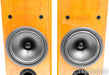 B&W P6 Floorstanding Speakers